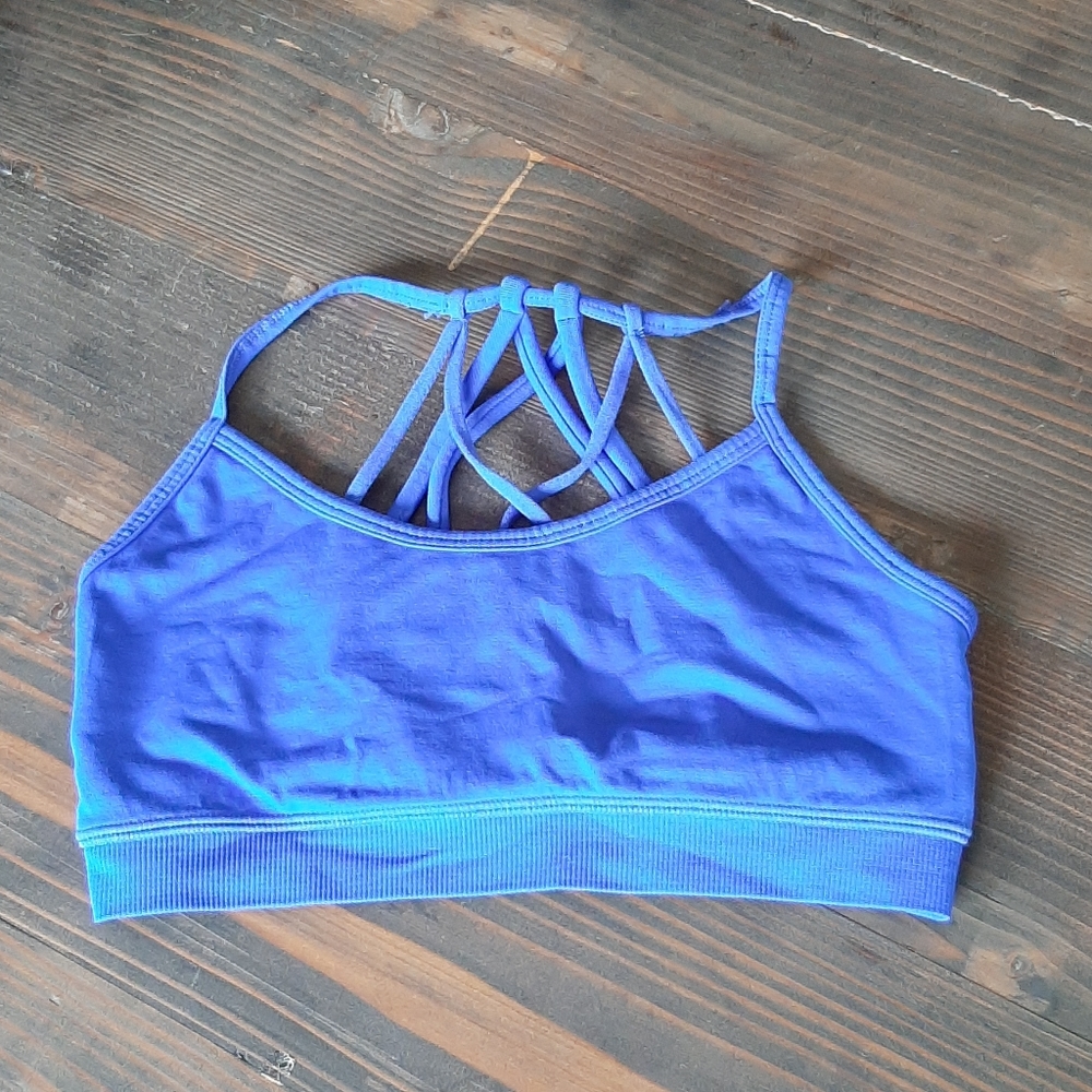 Fabletics sports bra